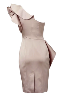 Curvaceous Satin One Shoulder Dress in Dusty Pink